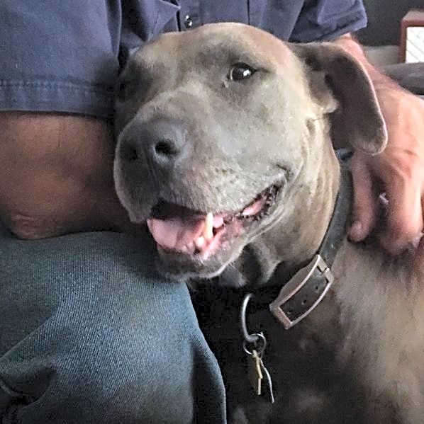 Photo of Athena