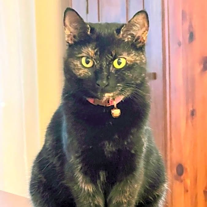 Photo of Dottie