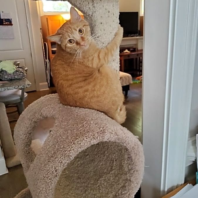 Photo of Jacques