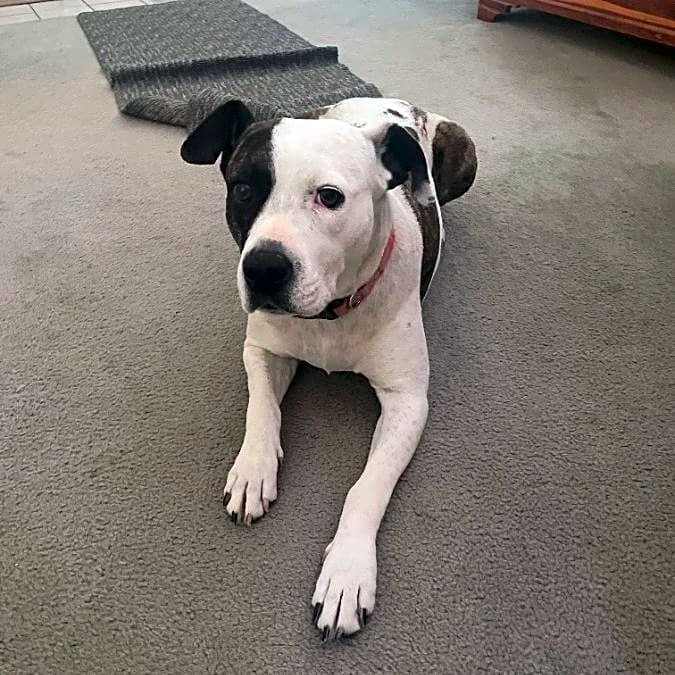 Photo of ROXY