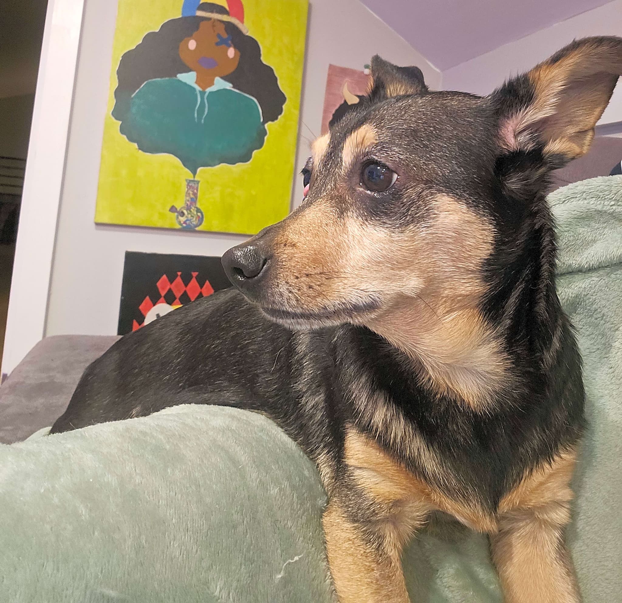 Photo of Bucky