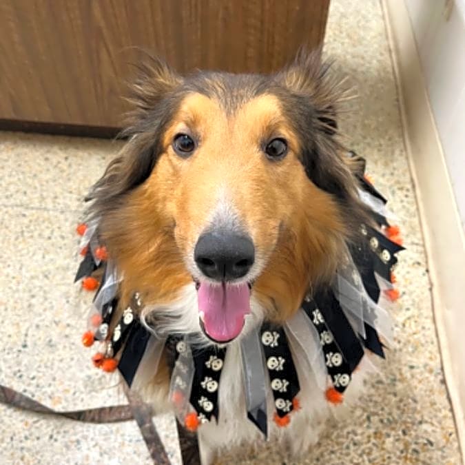 Photo of Cooper