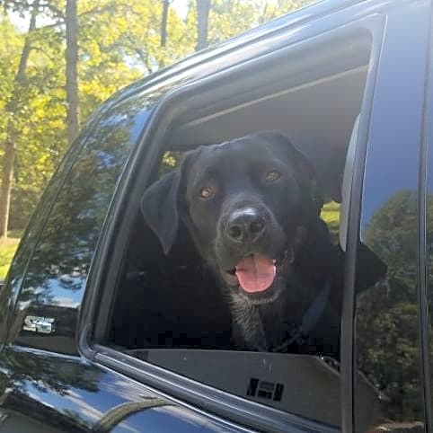 Photo of Maverick