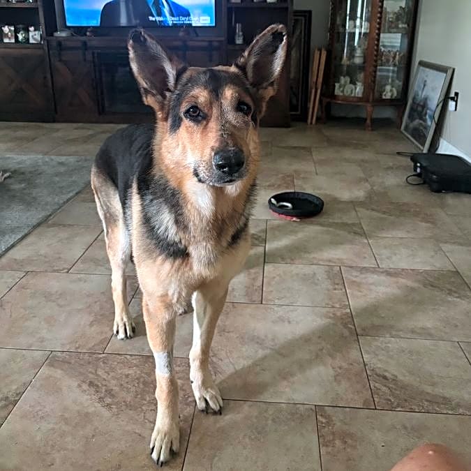 Photo of Max