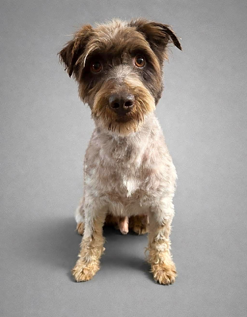 Photo of Rambo
