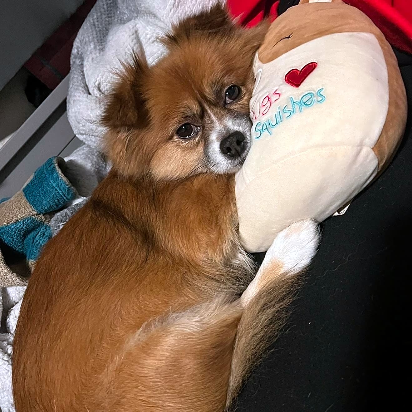 Photo of Reign