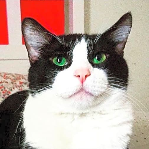 Photo of Charlie