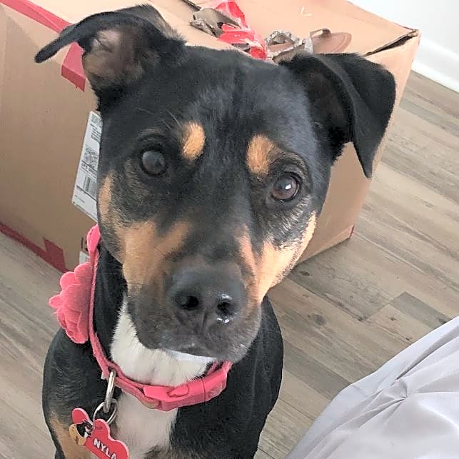 Photo of Nyla