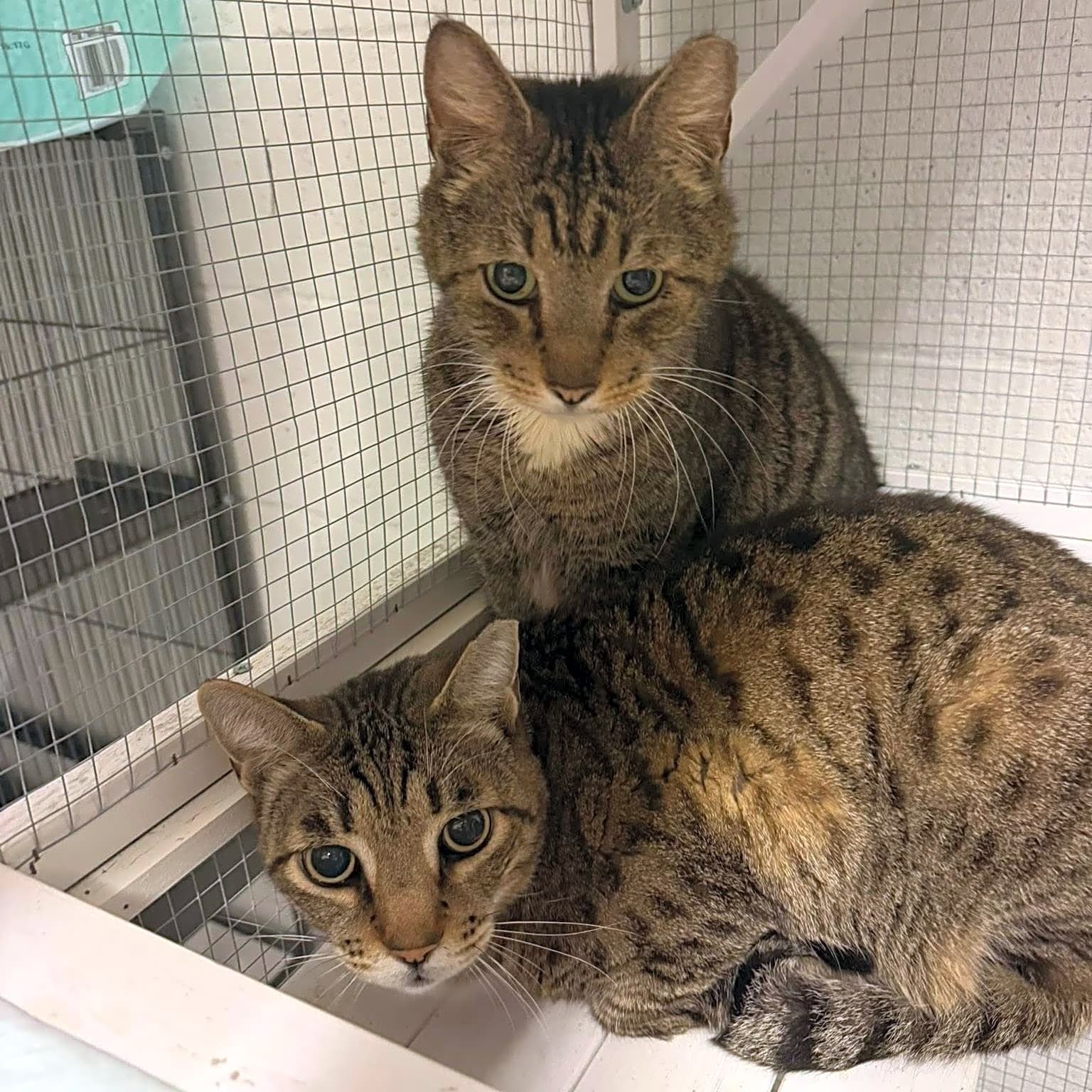 Photo of Little Guy and Big Guy