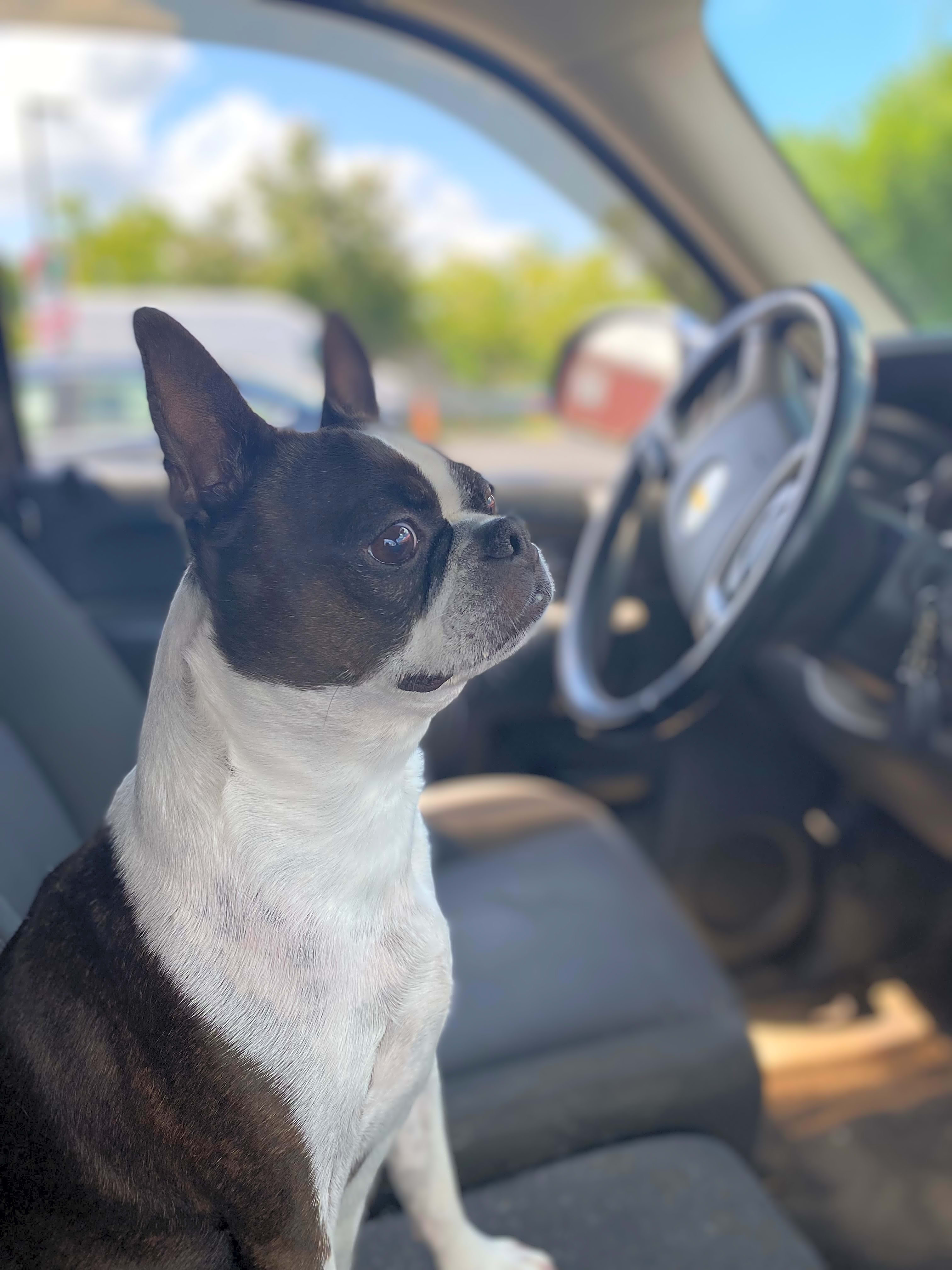 Photo of Luna