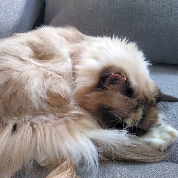 Photo of Kate