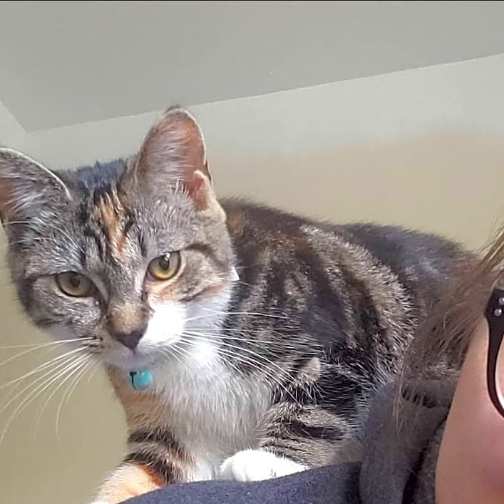 Photo of Callie