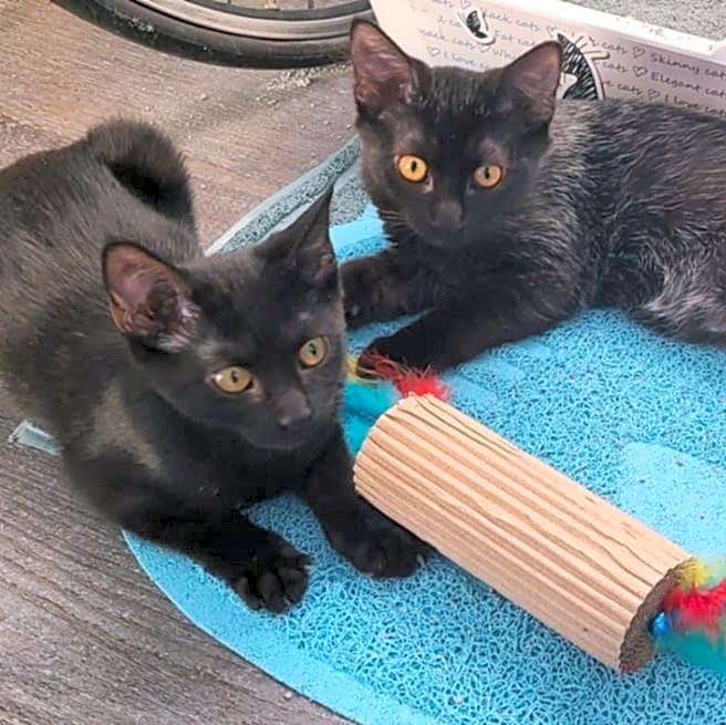 Photo of Jenny and Jasmine