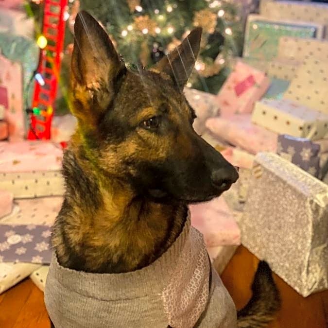 Photo of Stormy