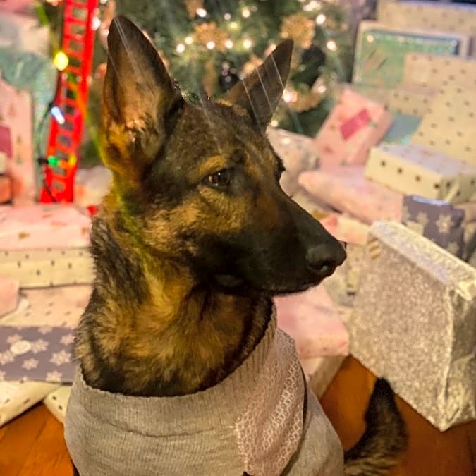 Photo of Stormy