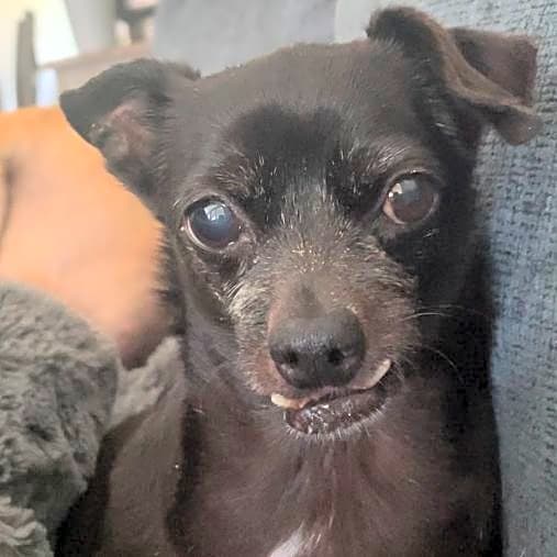 Photo of Little One