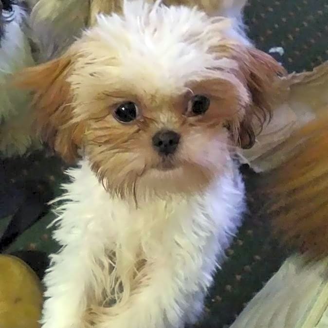 Photo of Baby