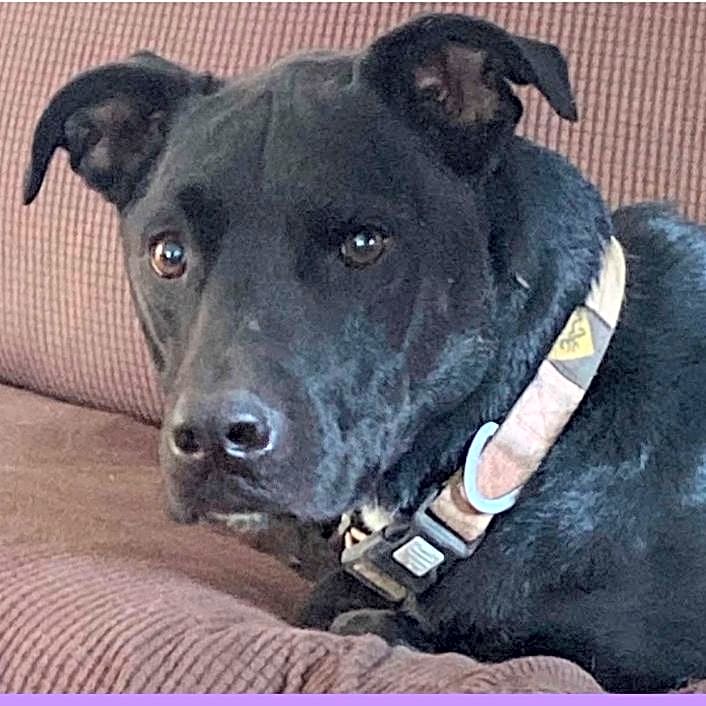 Photo of Lily