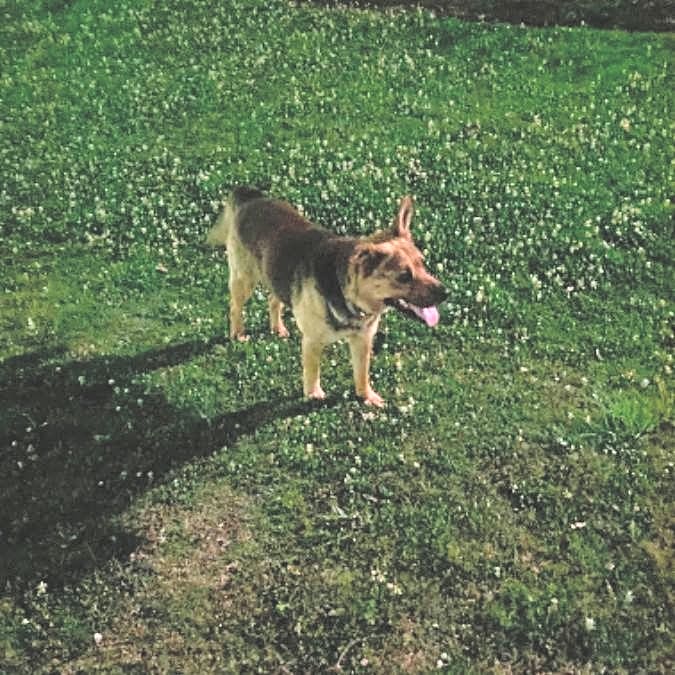 Photo of Queen