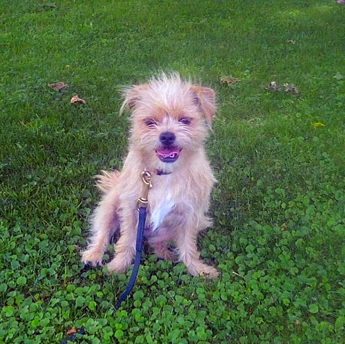 Photo of Delilah