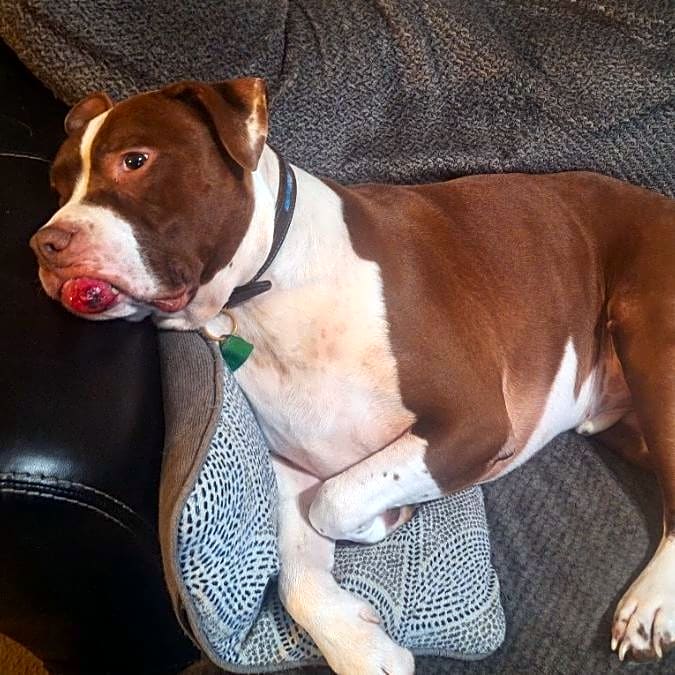 Photo of Max