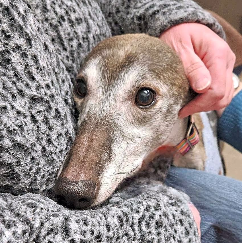 Photo of Tootie
