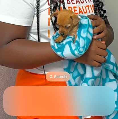 Photo of Coco