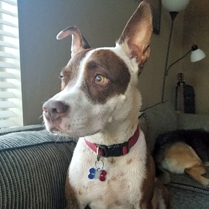Photo of Chupa