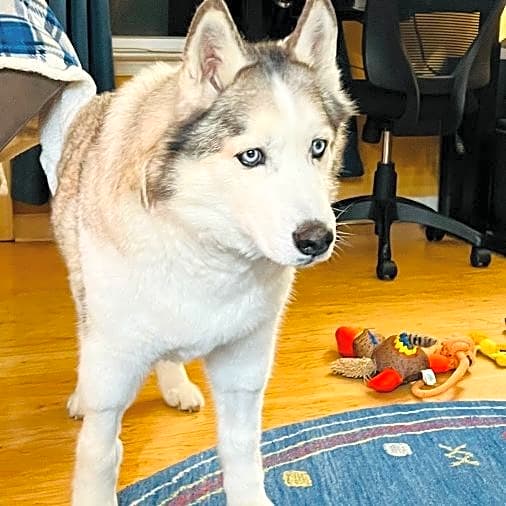 Photo of Lukas