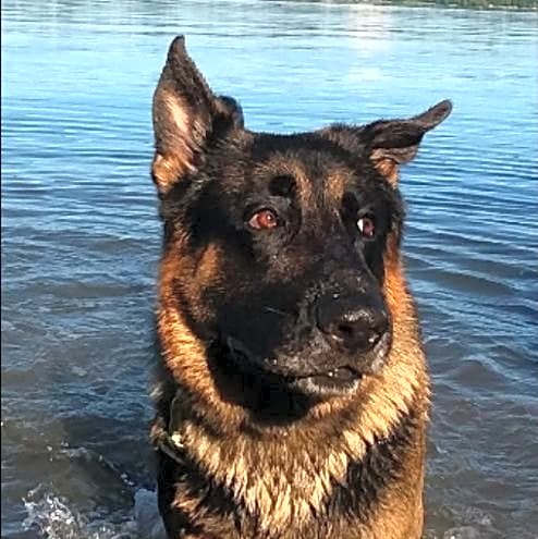 Photo of Micco