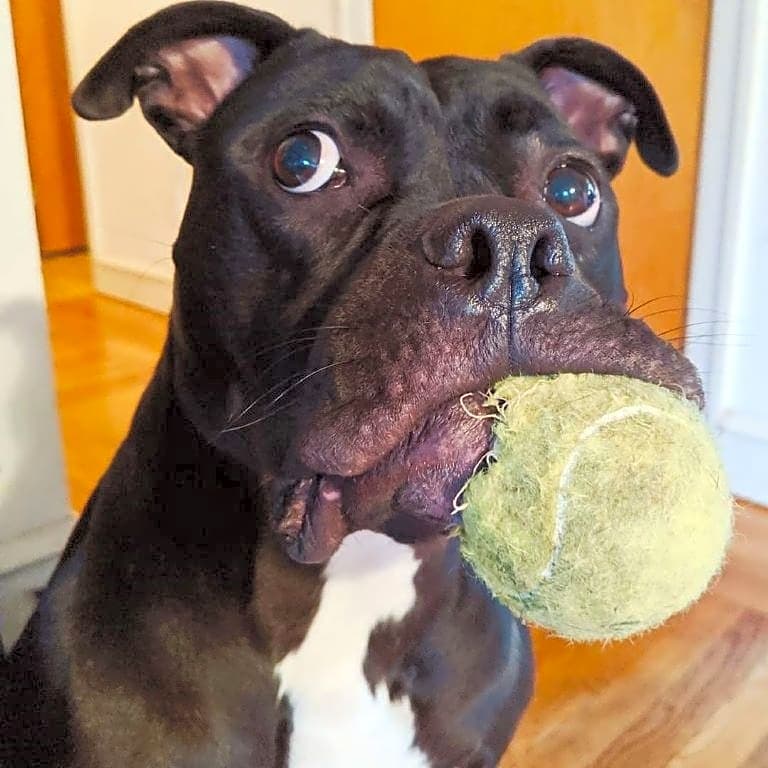 Photo of Pablo