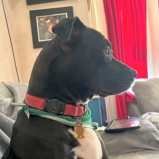 Photo of Olivia