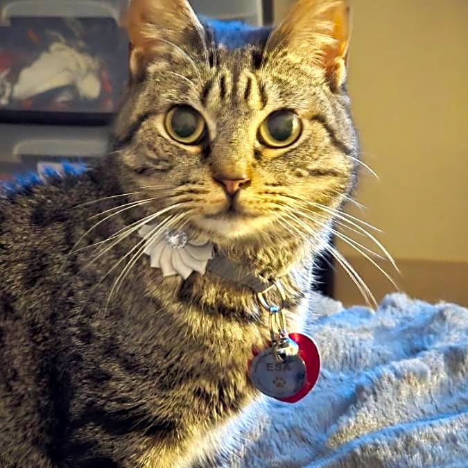 Photo of Awlain
