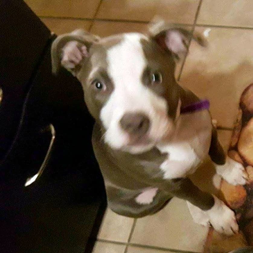 Photo of Ruby