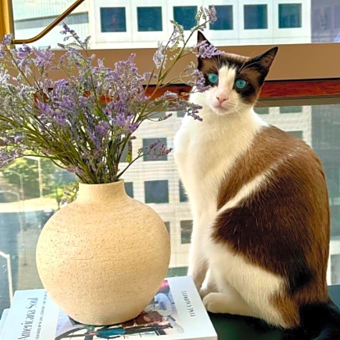 Photo of Bandit