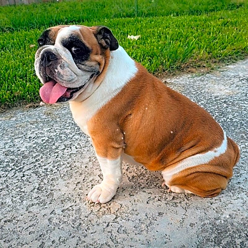 Photo of Roxy