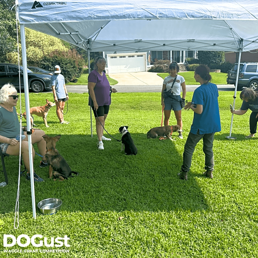 Photo of Keep US Dog Coalition and Rescue Dogs in Their Homes!