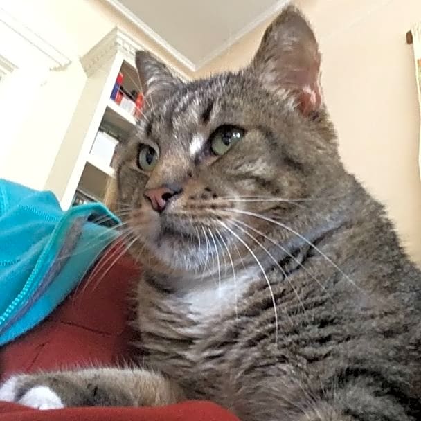 Photo of Vader