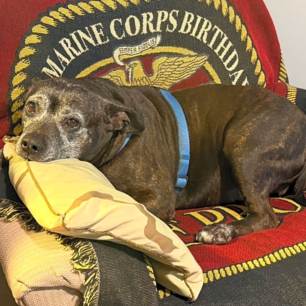 Photo of Buddy