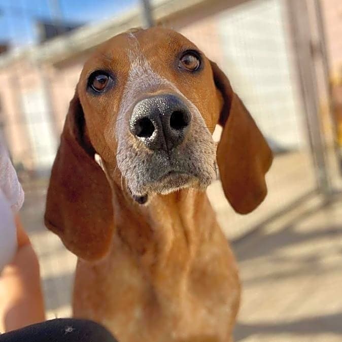 Photo of Mabel
