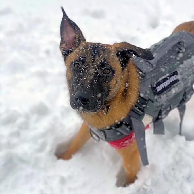 Photo of Zuko