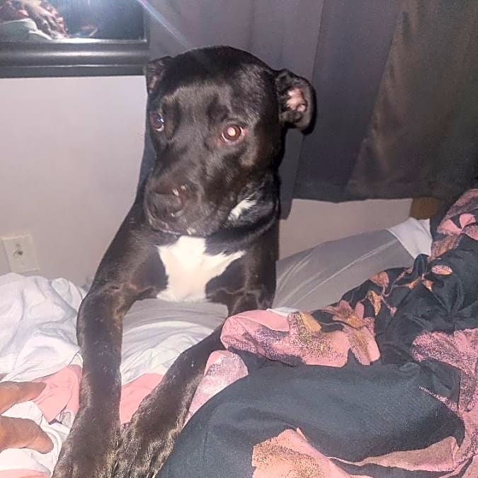 Photo of Zena
