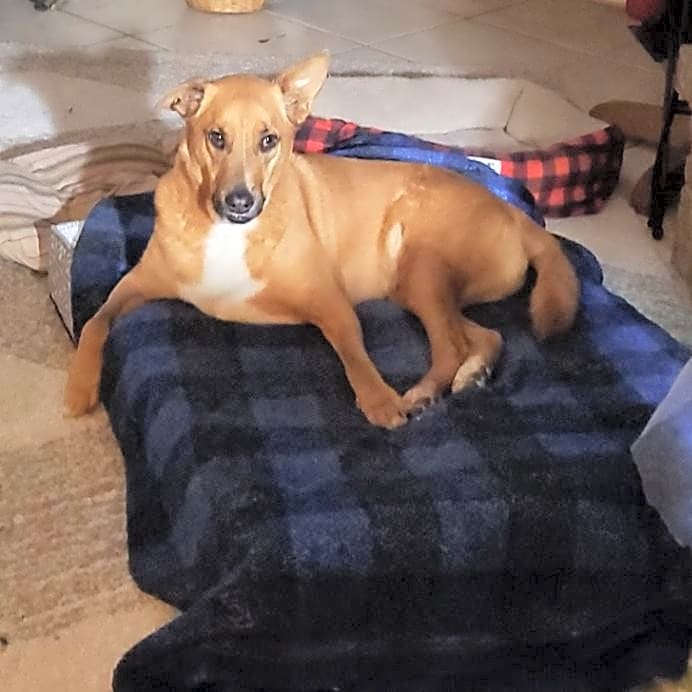 Photo of MAX