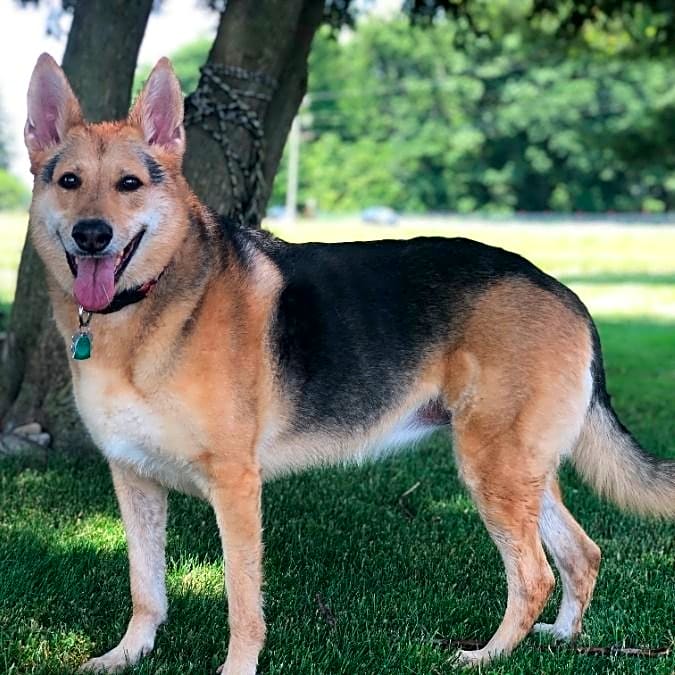 Photo of Lexi