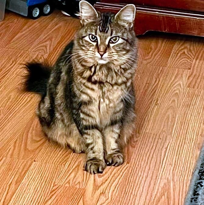 Photo of Lucy