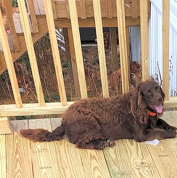 Photo of Copper