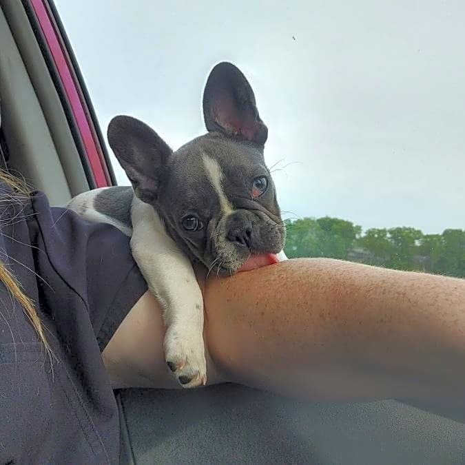 Photo of Sooie