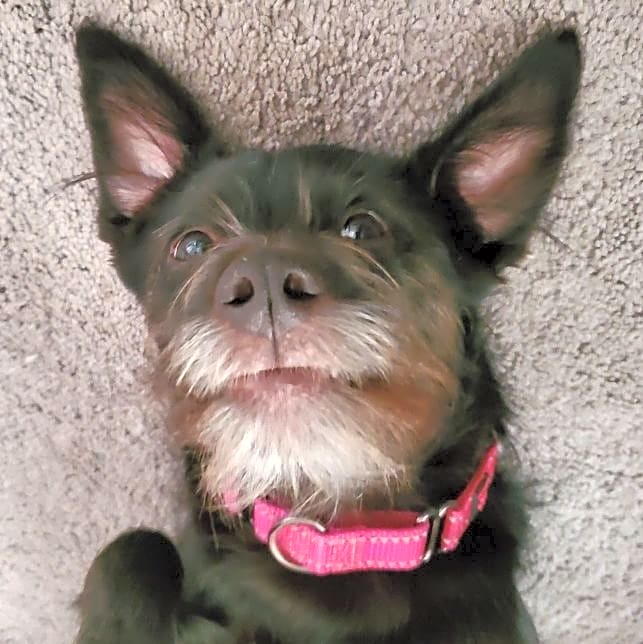 Photo of Molly Ginger Miley