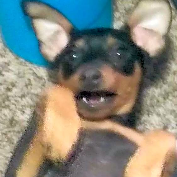 Photo of Babygirl