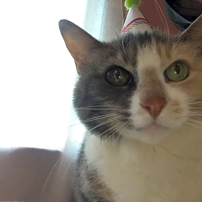 Photo of Lady Ingrid